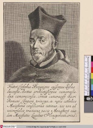 Frater Josephus Bergaigne