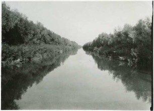 Regele-Carol-Kanal mit Weiden-Galeriegehölz