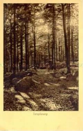 Der Tanzplanweg in der Sächsisch-böhmischen Schweiz