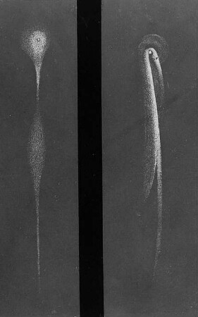 Kometen von 1826 und 1874 : Technikgeschichte | Astronomie | Kometen | Kometen