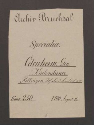 Instrumentum nobilitatis des Johann Ferdinand Friedrich von Rollingen.