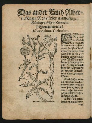 Das ander Buch Alberti Magni/ Von etlichen namhafftigen Kräutern/ und ihren Tugenden.
