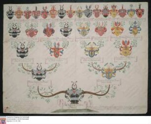 Ahnenprobe des Ernst Hartmann v. Diemar. - ausgefertigt 1744 September 9, Pergament, Kopie 1744 Dezember 29 Marburg Ordensballey Hessen