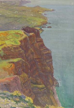 Madeira Felsenküste