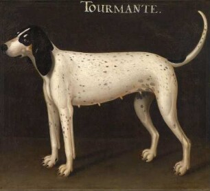 Die Jagdhündin "Tourmante"
