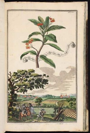 p. 226 Bergnersdorff. Schwaich. - Schwaig-Behringersdorf; Schwaig bei Nürnberg