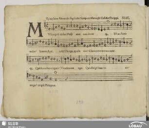 XLIX. Anonymus: Musica quid defles