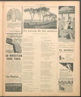 La poesía de los árboles