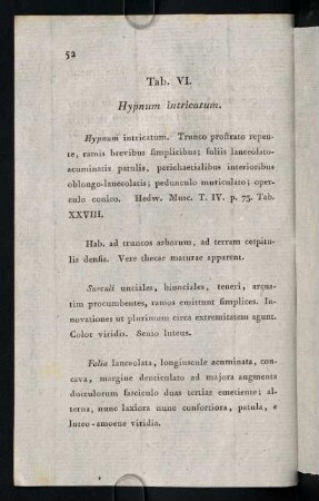 52-57, Tab. VI. Hypnum intricatum.