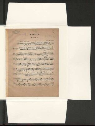 Violoncello.