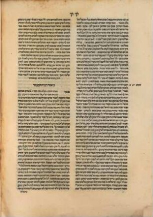Perush ʿal ha-torah ʿal derekh beʾur dovre ha-parashah ṿe-ʿal derekh beʾur ha-milot ʿim ha-toʿalot ha-magiʿot me-hem