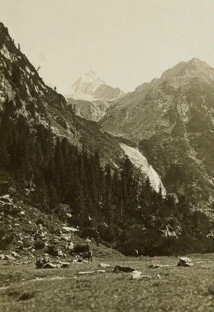 Österreich, Zillertaler Alpen. Zillergründl mit Kuchelmoosspitze (3255 m)