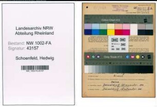 Entnazifizierung Hedwig Schoenfeld, geb. 26.06.1902 (Kauffrau)