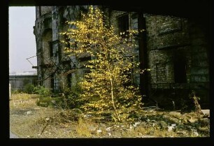 Ruine Hs. Vaterland 28.10.73.
