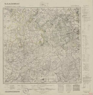 4206 Brünen, Topographische Karte 1:25000 (4cm - Karte)