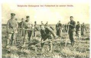 Belgische Kriegsgefangene bei Feldarbeiten