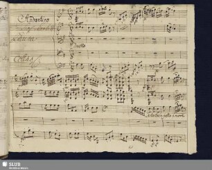 [Einlage] Scarlatti, Giuseppe: La serva scaltra?