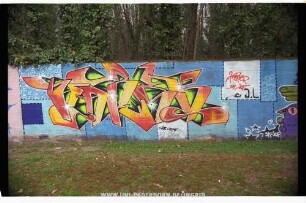HARES