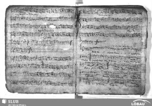 Zeutschner, Tobias: Benedicta sit Sancta Trinitas