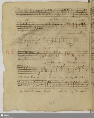 Hassler, Hans Leo: Laudate pueri
