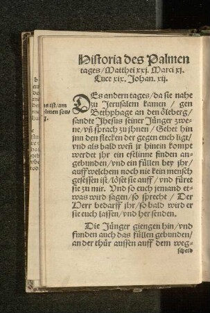 Historia am Palmtag.