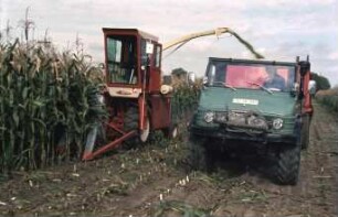 Fotografie: Futtererntetechnik, Maissilage, Feldhäcksler selbstfahrend, Maisgebiss, Parallelverfahren