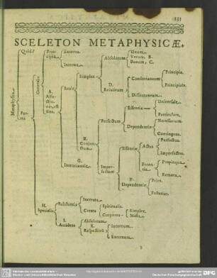 Sceleton Metaphysicae