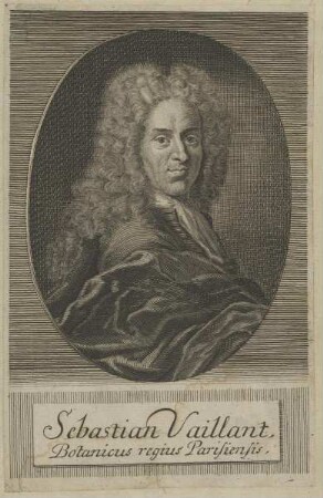 Bildnis des Sebastian Vaillant