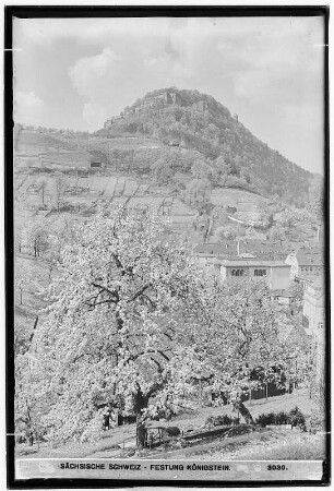 Sächsische Schweiz. Festung Königstein