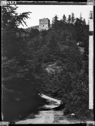 Ruine Riesenburg bei Ossegg