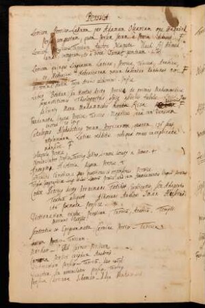 Manuscripta persica