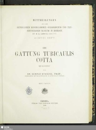 8.1889: Mittheilungen aus dem Königlichen Mineralogisch-Geologischen und Prähistorischen Museum in Dresden