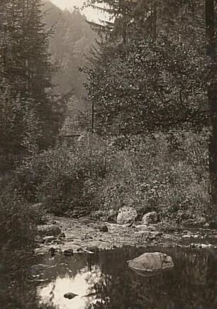 Rabenauer Grund/Sachsen. Zwischen Cossmannsdorf und Rabenau im Tal der Weißeritz