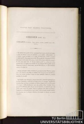 Traité des arbres fruitiers. Cerisier nain. Duh. Cerasus pumila, fructu minimo, rotundo, splendidè rubro, acido, praecoci.