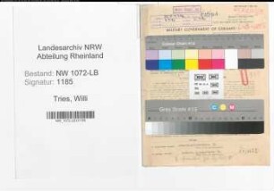 Entnazifizierung Willi Tries , geb. 29.03.1903 (Arbeiter)