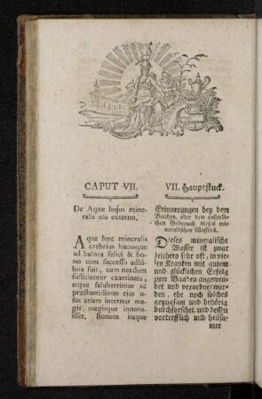 Caput VII. VII. Hauptstuck.