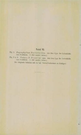 [Erklärung zu] Tafel VI