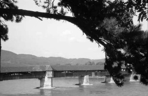 Bad Säckingen: Alte Rheinbrücke, Vordergrund Baum