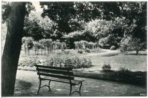 Großenhain. Stadtpark