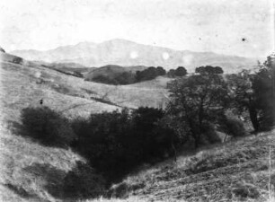 Der Mount Diablo : Blick über ein Bergtal mit Vegetation. Im Hintergrund Vulkanberg