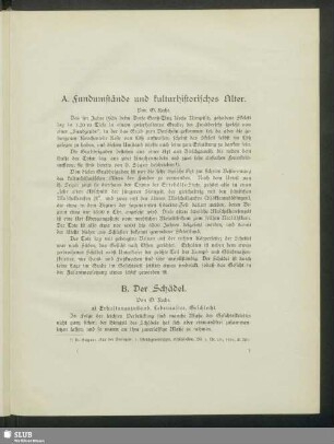 B. Der Schädel