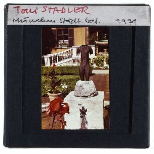 Stadler, Torso