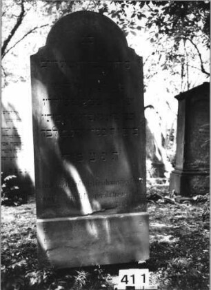 Grabstein 411 (Index: 99629912) Material: Sandstein Zustand: unten leicht abgeblättert Maße HxBxT: 154x64x9 cm Beschreibung: Stele mit eingezogenem Rundbogenabschluß Besonderheit: Zitat Psalm 31, 6: Grabstein 411