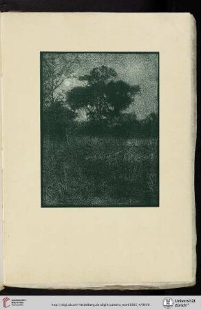 [Arthur E. [Ernst] Becher [Beecher], II. Moonlight, halftone reproduction from original gum print]