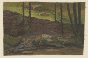 Wald mit Felsen