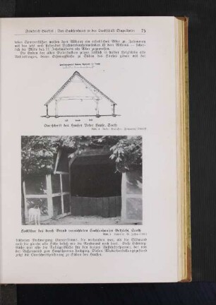 Heckschur des durch Brand vernichteten Sachsenhauses Dethlefs, Seeth Abb. 5 Lichtbild: W. Jessen (1900)