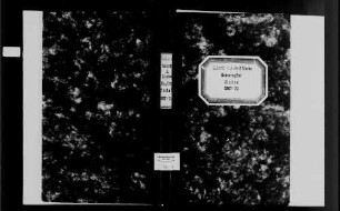 Mudau, katholische Gemeinde: Standesbuch 1867-1870