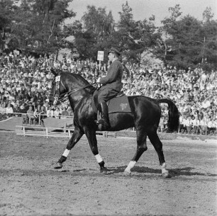 Moritzburger Hengstparade. Reiter in Uniform beim Vorführen verschiedener Gangarten