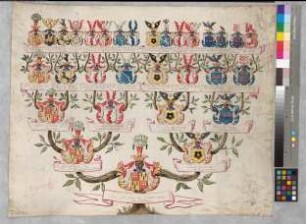 Proband: Schele, Anna Sophia Sibylla von; Vater: Schele, Rabe Wilhelm von; Mutter: Schwartzen, Amalia von: [Quernheim, Stift]