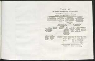 Tab. XV. De Comitibus De Maresleve Et Horneburg